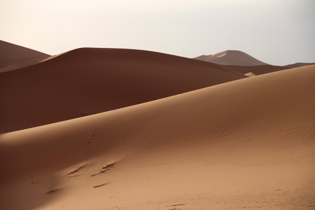 dune