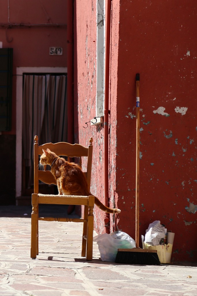 micio-burano