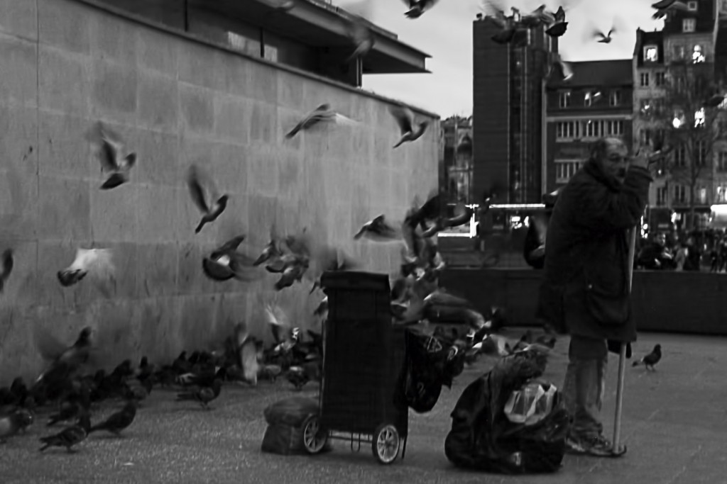 pigeon-man-parigi